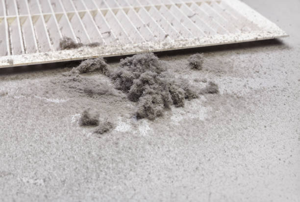 Best Commercial HVAC Duct Cleaning  in St Augusta, MN