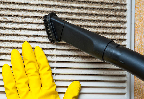 Air Duct Mold Removal in MN
